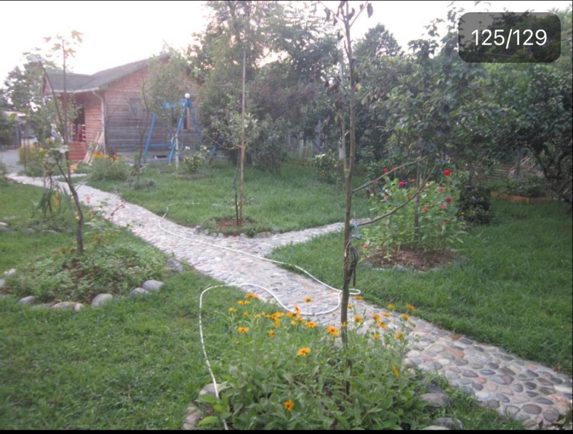 מחינג'אורי Wooden Cottage מראה חיצוני תמונה